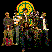 Rootz Underground - List pictures