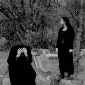 Dargaard - List pictures