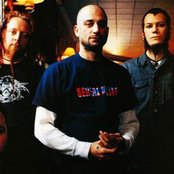 Cold - List pictures