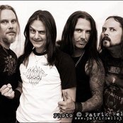 Wolf - List pictures