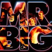 Mr. Big - List pictures