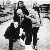 Skunk Anansie - List pictures