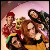 Jellyfish - List pictures