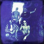 Grey Daze - List pictures