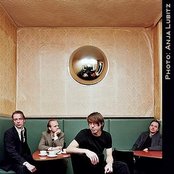 Fink - List pictures