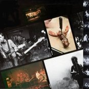 Live Skull - List pictures