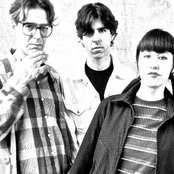 The Muffs - List pictures