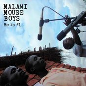 Malawi Mouse Boys - List pictures
