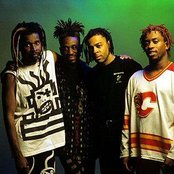 Living Colour - List pictures