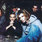 Pleymo - List pictures