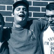 Radon - List pictures