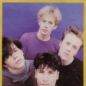 Ride - List pictures