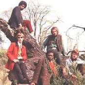 Savoy Brown - List pictures