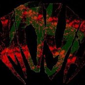 Moya - List pictures