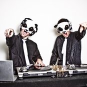 The White Panda - List pictures