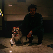 The Weeknd - List pictures
