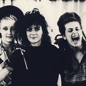 Slits - List pictures