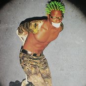 Green Velvet - List pictures