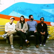 Miniature Tigers - List pictures