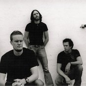 Within Y - List pictures