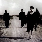 Bliss - List pictures