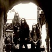 Paramaecium - List pictures