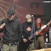 Datura - List pictures