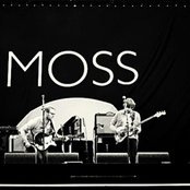 Moss - List pictures