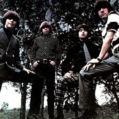 The Standells - List pictures