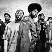 The Roots - List pictures