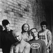 Flaw - List pictures