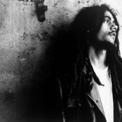 Damian Marley - List pictures