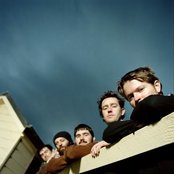 Augie March - List pictures