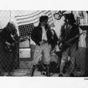 Germs - List pictures