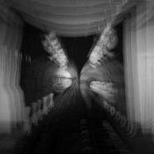 Besnard Lakes - List pictures