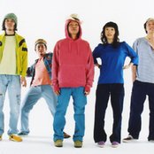 Bonobos - List pictures