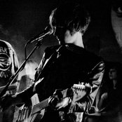 Dark Horses - List pictures