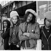 Aswad - List pictures
