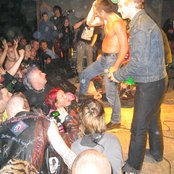 Toxoplasma - List pictures