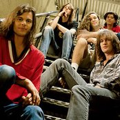 Gin Blossoms - List pictures