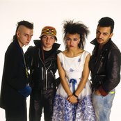 Bow Wow Wow - List pictures