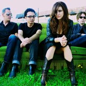 The Heartbroken - List pictures