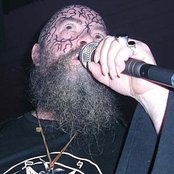 Root - List pictures