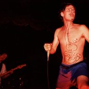 The Cows - List pictures