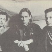 Violent Femmes - List pictures