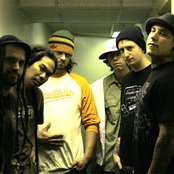 Insolence - List pictures