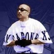 Mr. Capone-e - List pictures