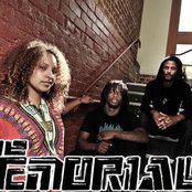 The Memorials - List pictures