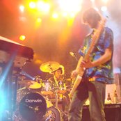 Lotus - List pictures