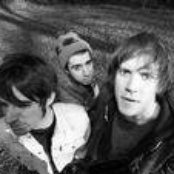 The Whigs - List pictures